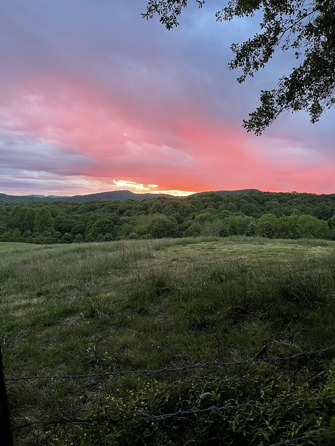 683 Grant Street Clarkesville GA